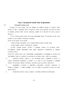 Conceptul de Agroturism în România - Pagina 4