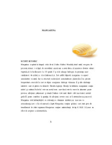 Tehnologia de Obținere a Margarinei - Pagina 3