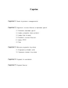 Elaborarea Programului de Productie intr-o Exploatație Agricola - Pagina 2