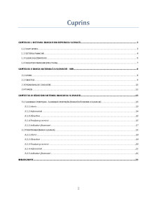 Monografia Sistemului Bancar din Slovacia - Pagina 2