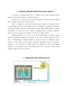 Accidentul nuclear de la Cernobal - efectele poluării radioactive - Pagina 3