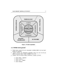 Curs 1 - Management General și Strategic - Pagina 3