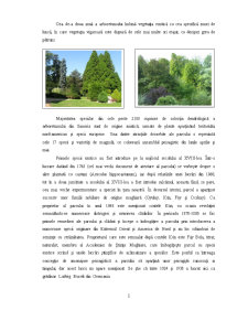 Parcul Dendrologic Simeria - Pagina 2