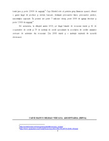 Monografia unei bănci cu caracter internațional - Banco Bilbao Vizcaya Argentaria - Pagina 5