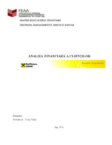 Analiza financiară a clienților - Raiffeisen Bank - Pagina 1