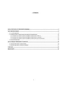Analiza financiară a clienților - Raiffeisen Bank - Pagina 2