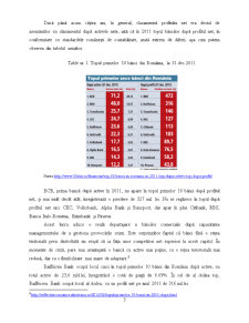 Analiza financiară a clienților - Raiffeisen Bank - Pagina 4