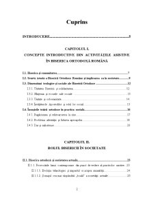 Rolul Bisericii Ortodoxe Române în Asistența Socială din Mediul Rural - Pagina 2
