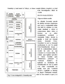 Date și Ipoteze privind Paleogeografia și Paleoecologia Mării Mediterane și Paratethysului în Oligocen și Miocen - Pagina 3