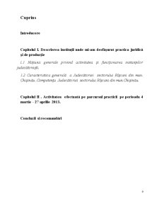 Raport de practică - Judecătoria Sectorului Rîșcani - Pagina 1