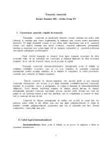 Tranzacția comercială dintre Eurojet România SRL și Avolus Group Bv - Pagina 3