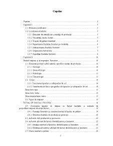 Studiul indicilor structurali aferenți arboretului din UA 62B 63A 37 40A 40B - Pagina 2