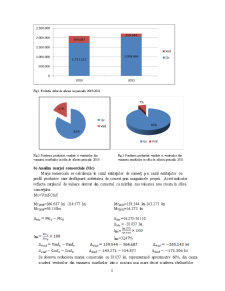 Analiză Ilfoveana SA - Pagina 3