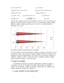 Analiză Ilfoveana SA - Pagina 5