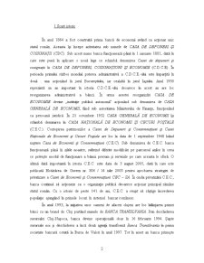 Organizația publică vs organizația privată - comparație între Casa de Economii și Conseconsemnățiuni și Banca Transilvania - Pagina 2