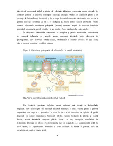 Studiu Epidemiologic Privind Evoluția Salmonelozei ca Zoonoză în Europa și în România - Pagina 4
