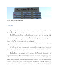 Compania de intermediere în asigurări din România, Kunden Broker - Pagina 4