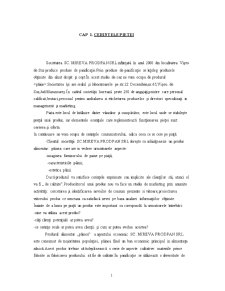 Studiu produsului pâine - SC Mireva Prodpan SRL - Pagina 1