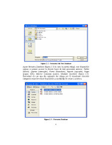 Access - Suport Curs - Pagina 6