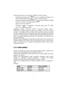 Access - Suport Curs - Pagina 7