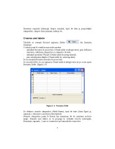 Access - Suport Curs - Pagina 8