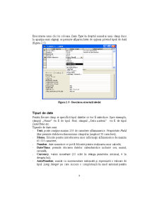 Access - Suport Curs - Pagina 9