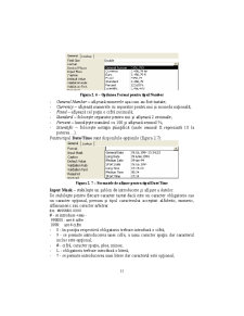 Access - Suport Curs - Pagina 11