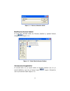 Access - Suport Curs - Pagina 16