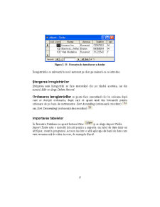 Access - Suport Curs - Pagina 17
