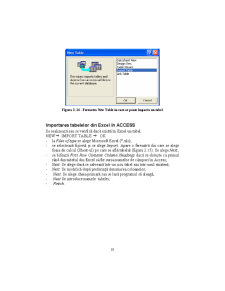 Access - Suport Curs - Pagina 18