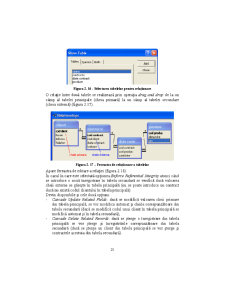 Access - Suport Curs - Pagina 21