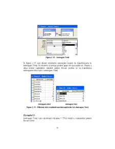 Access - Suport Curs - Pagina 33