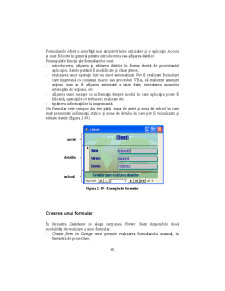 Access - Suport Curs - Pagina 43