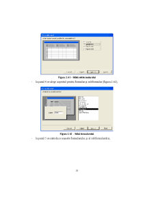Access - Suport Curs - Pagina 53