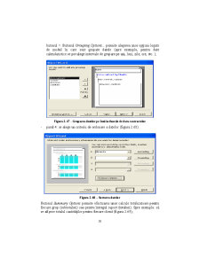 Access - Suport Curs - Pagina 58