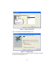 Access - Suport Curs - Pagina 60