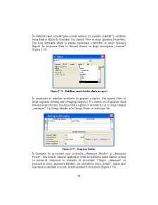 Access - Suport Curs - Pagina 63