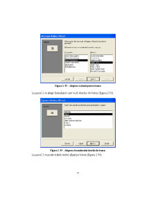 Access - Suport Curs - Pagina 77