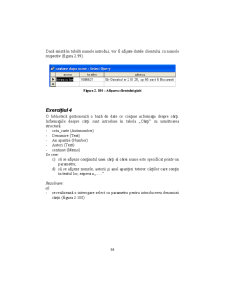 Access - Suport Curs - Pagina 84