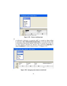 Access - Suport Curs - Pagina 85