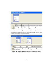 Access - Suport Curs - Pagina 87