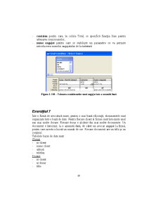 Access - Suport Curs - Pagina 89
