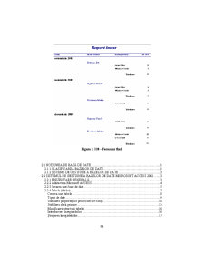 Access - Suport Curs - Pagina 94