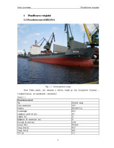 Planificarea și Executarea Voiajului pe Ruta Georgetown-Conakry cu o Nava General Cargo - Pagina 4