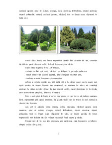 Parcul Dendrologic Arcalia - Pagina 2