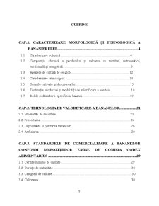 Caracterizarea Tehnologică Standardele de Comercializare și Condițiile de Valorificare la Specia Banane - Pagina 2