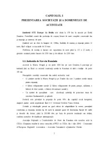 Analiza economico-financiară la SC Stx Ro Offshore Brăila SA - Pagina 2