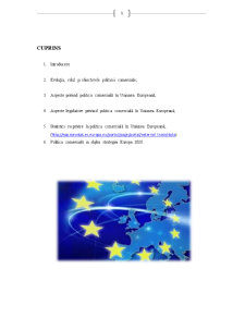 Politica Comercială în Uniunea Europeană - Pagina 2