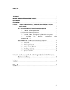 Aspecte ale Culturii Organizaționale în Cadrul Sucursalei Electrocentrale Mureș - Pagina 2