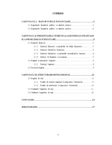 Structura finanțelor și procesul bugetar - Pagina 2